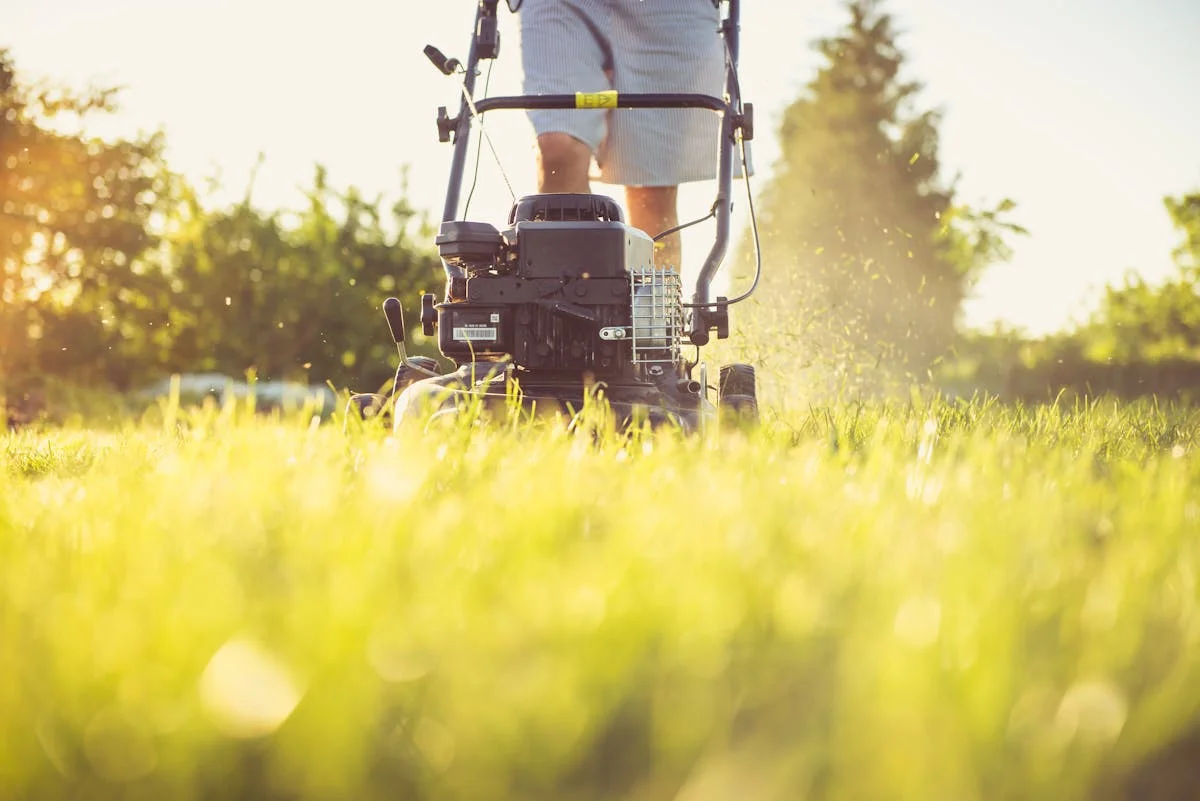 Why Landscaping Companies Lose Jobs Every Spring (And It's Not Their Work)